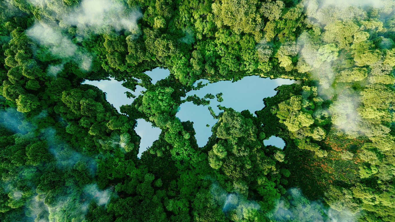 How Forests Act as Climate Change Superheroes