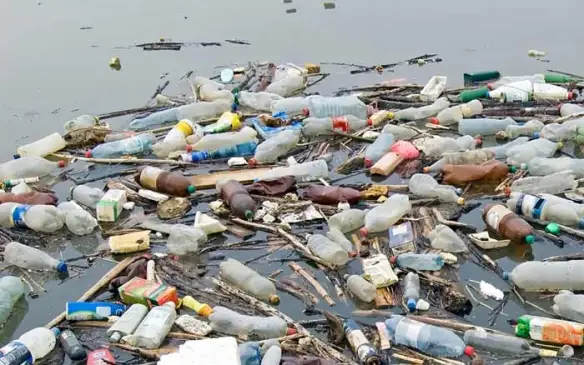 The Perils of Plastic Pollution in Our Oceans