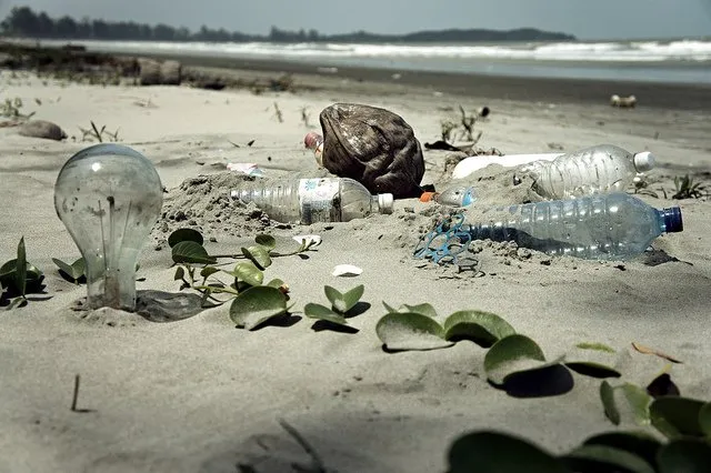 The Perils of Plastic Pollution in Our Oceans