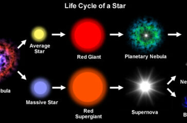 The Life Cycle of Stars: Birth to Supernova