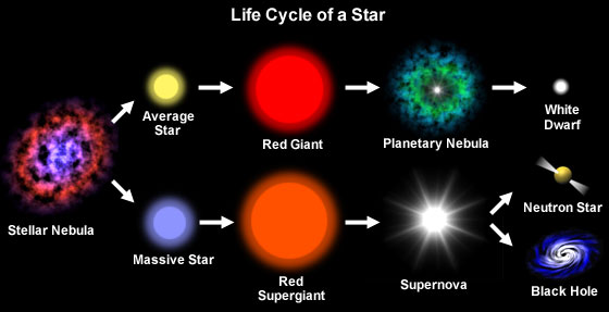 The Life Cycle of Stars: Birth to Supernova