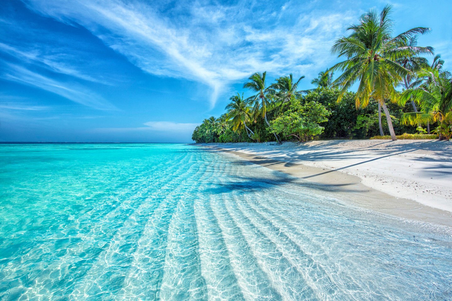 Tropical Paradise: Exploring the Rich Landscapes of the Tropics
