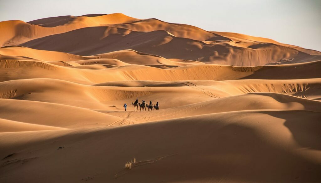 Desert Dreams: Exploring Arid Landscapes and Oasis