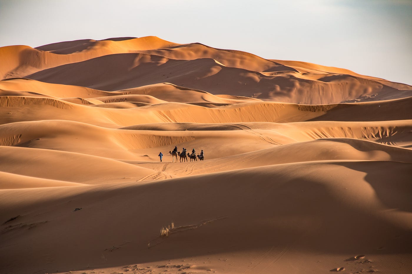 Desert Dreams: Exploring Arid Landscapes and Oasis