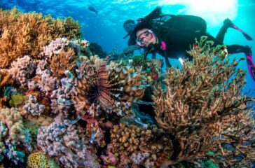 The Great Barrier Reef: Australia's Underwater Masterpiece