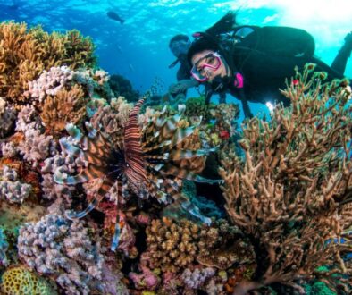 The Great Barrier Reef: Australia's Underwater Masterpiece