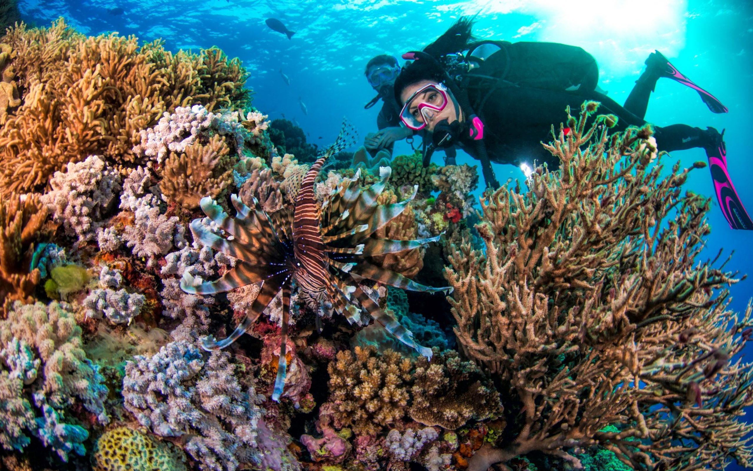 The Great Barrier Reef: Australia's Underwater Masterpiece