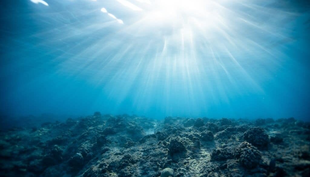 The Role of Oceans in Regulating Earth's Climate