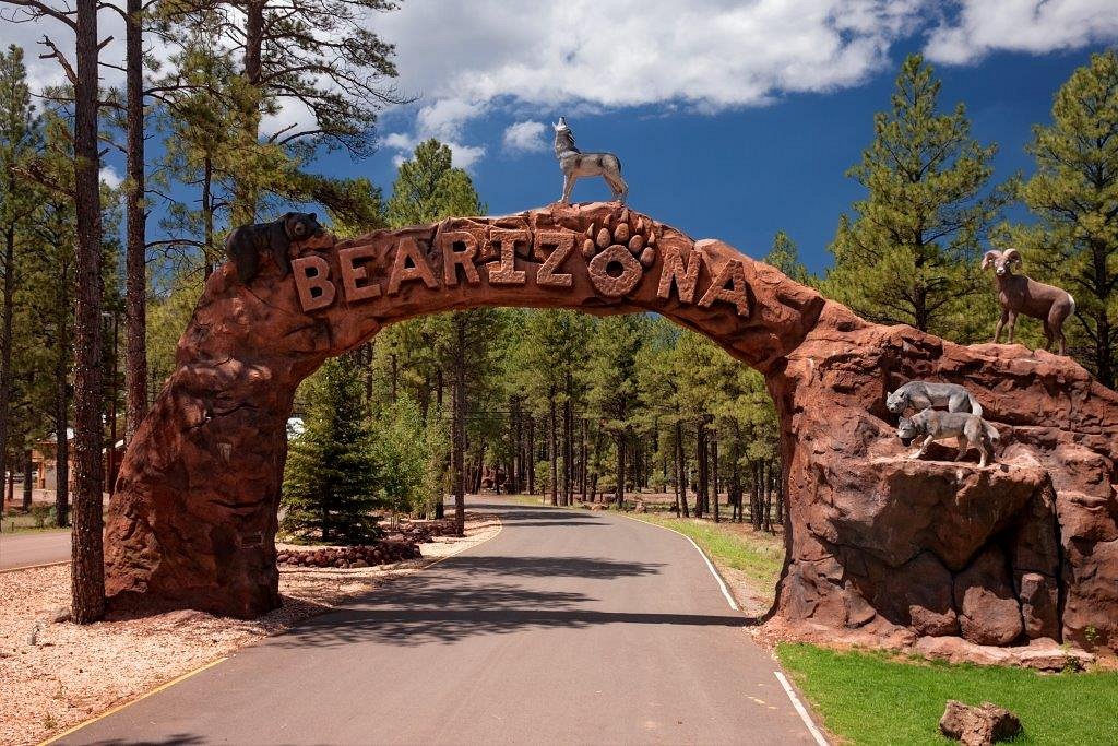 Bearizona Wildlife Park: A Haven for North American Wildlife